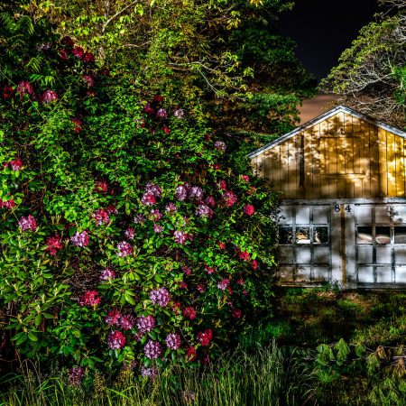 Return to Mother Nature by Sean K. Sullivan